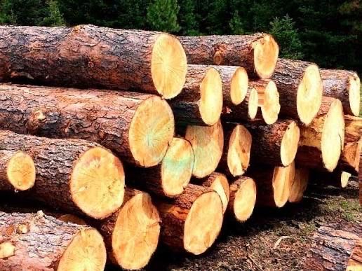 АҒАШ лес тақтайлар