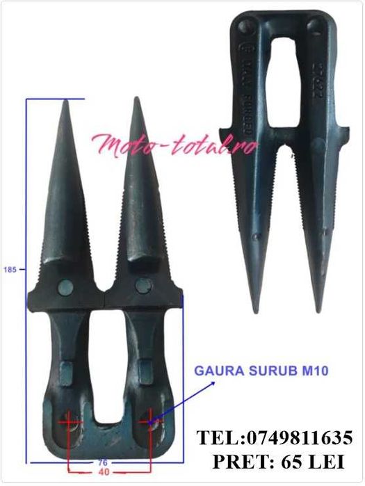 Dinte dublu mare cositoare  Dinte dublu ingust