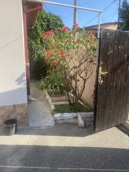 Casă 3 camere la curte de inchiriat