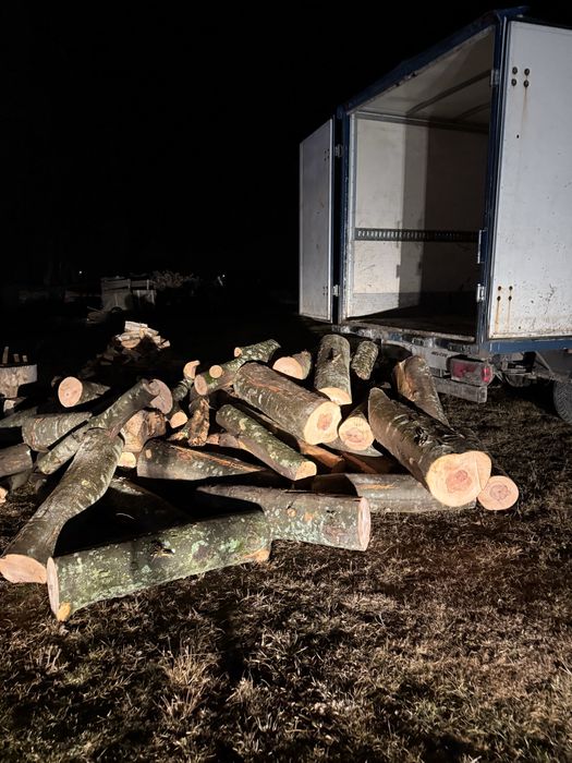 Lemn de foc sau lemn de lucru