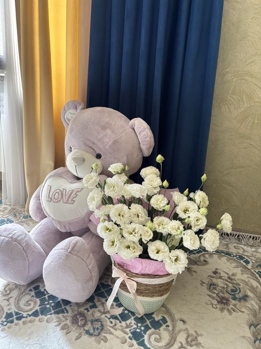 Корзина гүл и аю