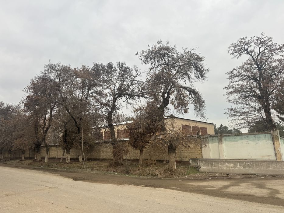 Продается Земля Янги Узбекистон