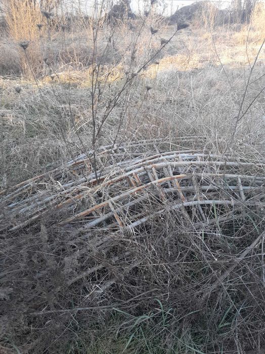 Оранжерии 2 броя