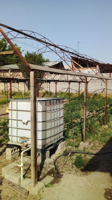 Parnik karkaz syomniy