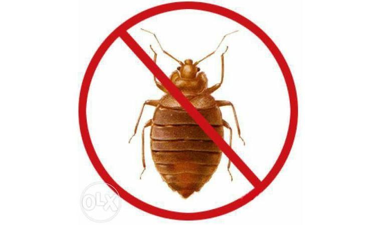 Dezinfeksiya hizmati