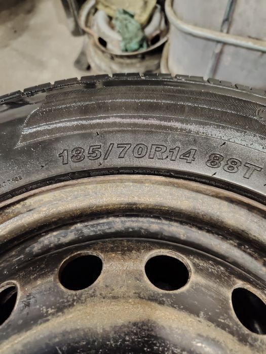 14 lik diska balonlari bn sotiladi