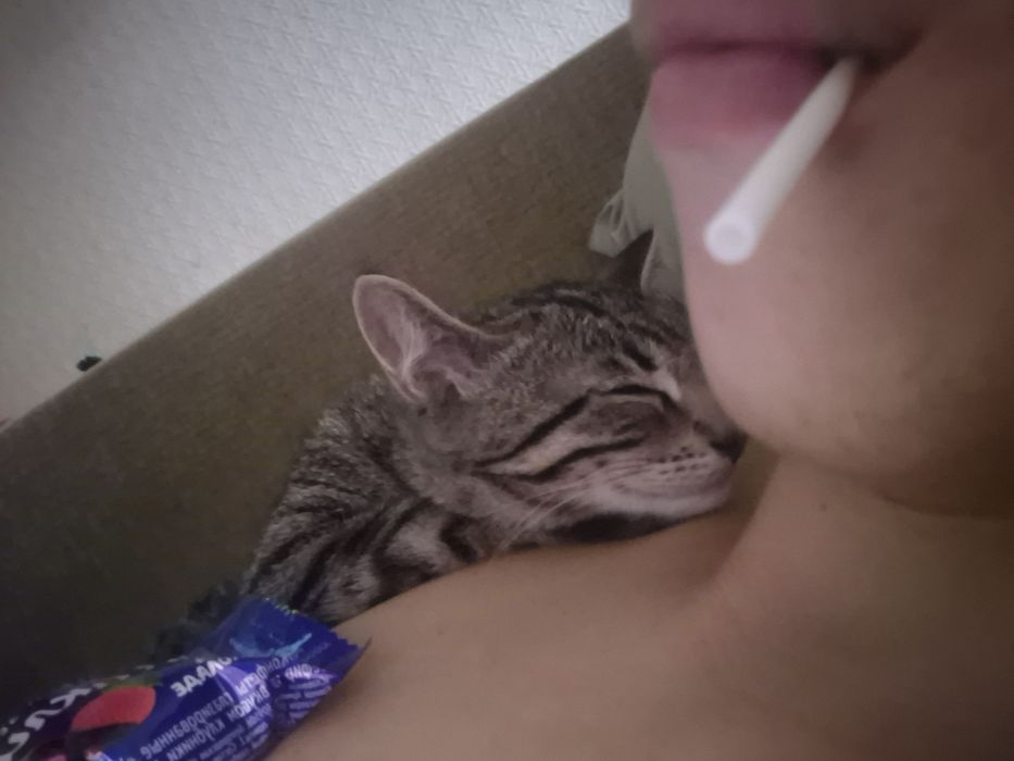 отдам котёнка в хорошие руки