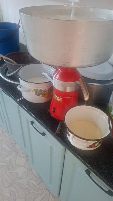 Сметана Молоко Творог Курт Яйцо