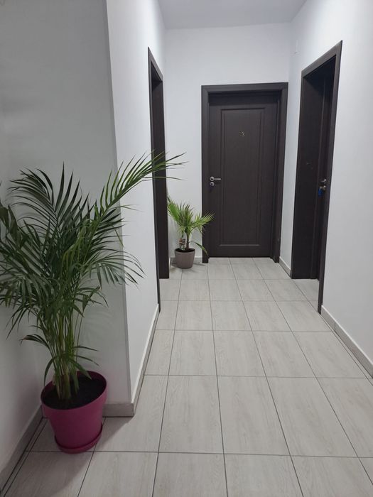 Cazare Costinesti Beach Please 2026 ieftina