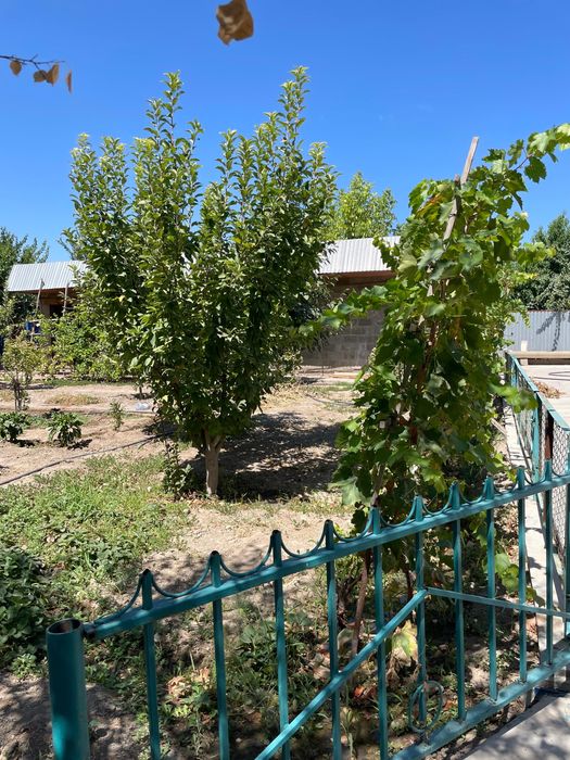 Продается жилой дом