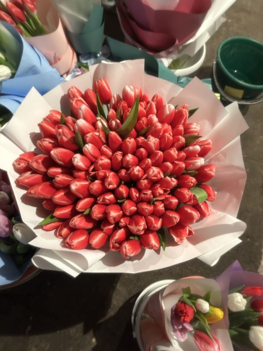 тюльпаны 101 inst:md_flowers.almaty