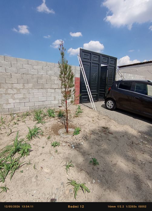 6 sotixli chek chorsi 15500$
