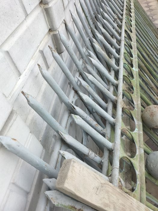 Дом Сад огород .