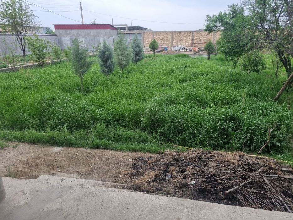 20 соткда беда ут буда сотилади