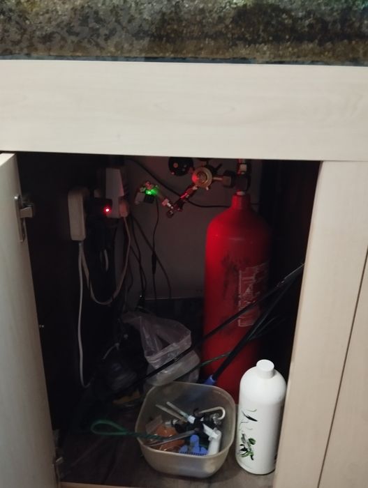 Продам аквариум со всем содержимым