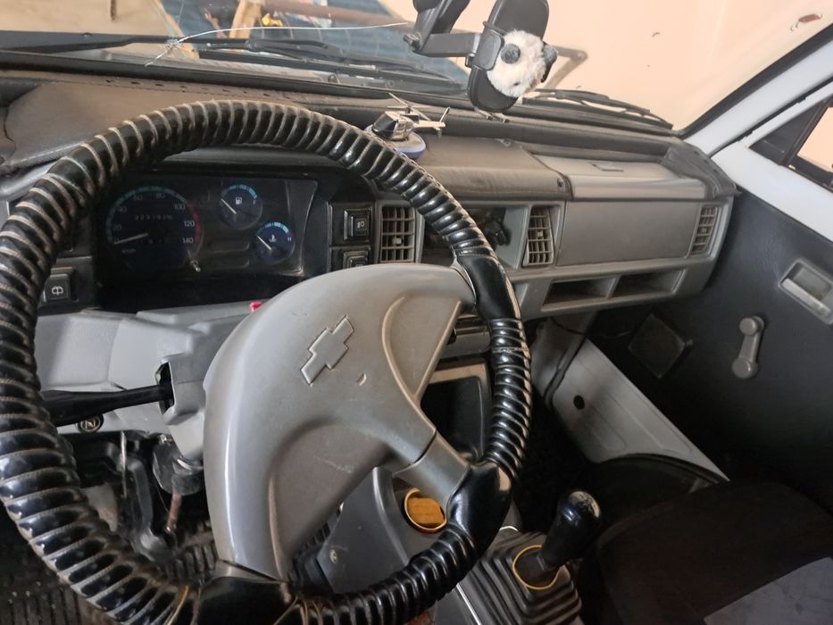 Damas idial, barterga.