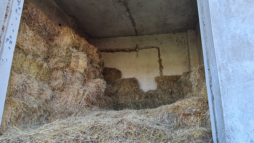 baloti de lucerna+ovăz