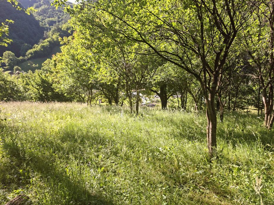 Vînd teren la munte în  Râu Sadului jud.Sibiu intravilan pozitie farte buna