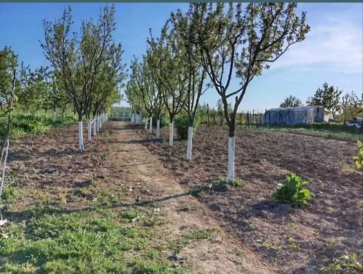 Casa de vanzare cu teren in Leordeni -Moara Mocanului- Arges