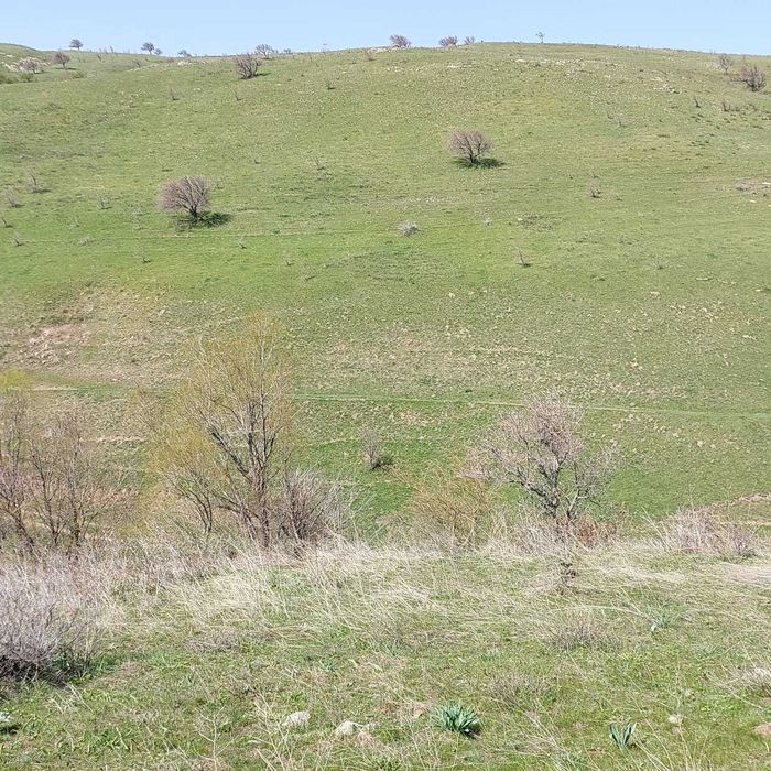 Земельный участок в Тюлькубасском районе