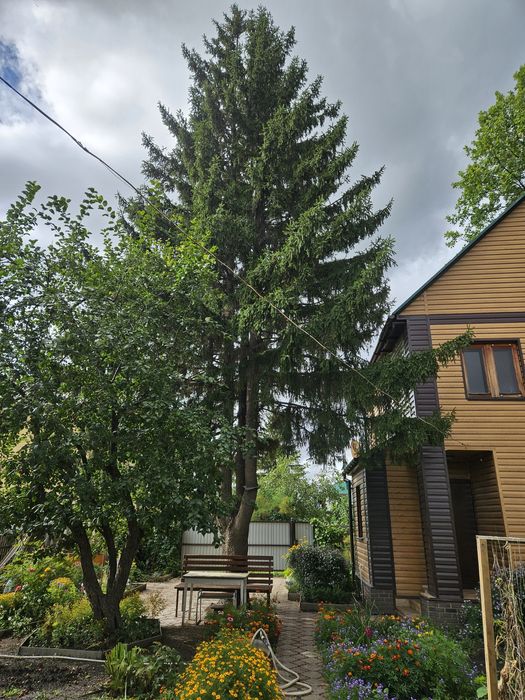 Продам дачный участок