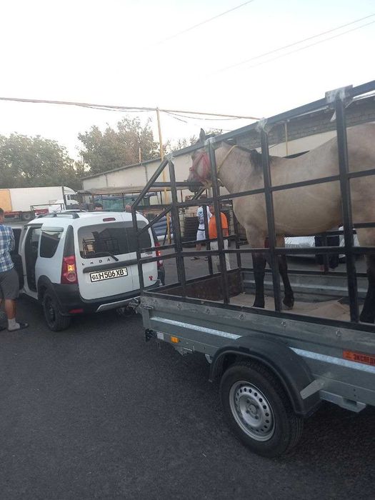 Арава, Prisep, Tirkama , Тачка, Тележка, Прицеп Кора Мол, Кой учун.