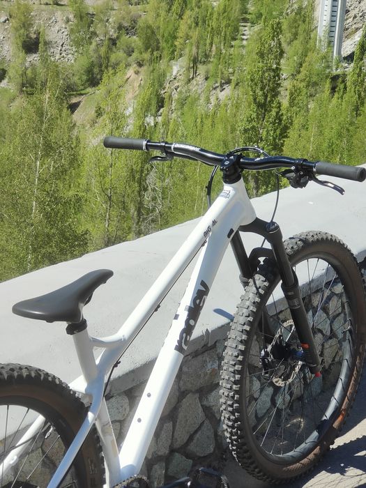 Ragley Big Al 2023 XL