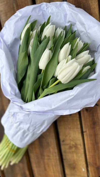 Тюльпаны предзаказ