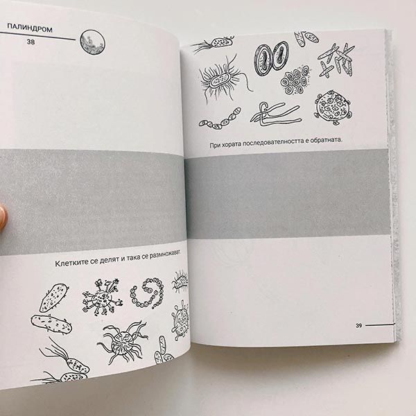 Книга Палиндром