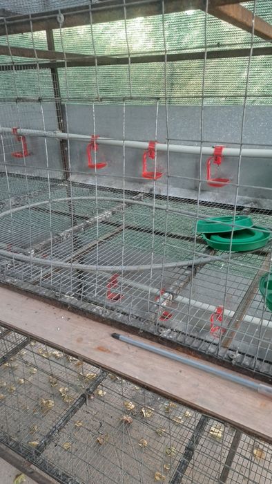 Клетка для кур бройлер.