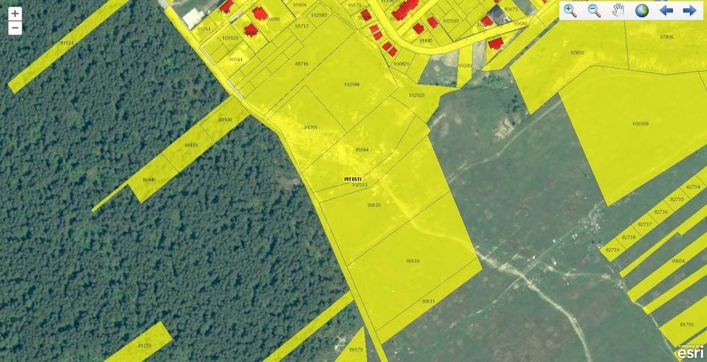 Vând 3001 mp zona Tancodrom, str Victor Slavescu, cu padure de pini