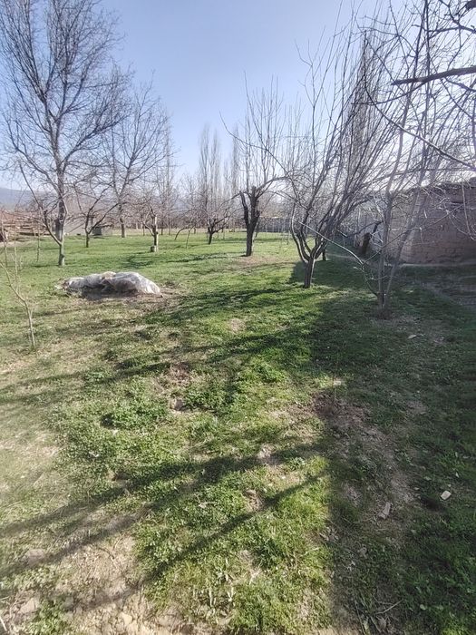 Yer sotiladi Oq towdan