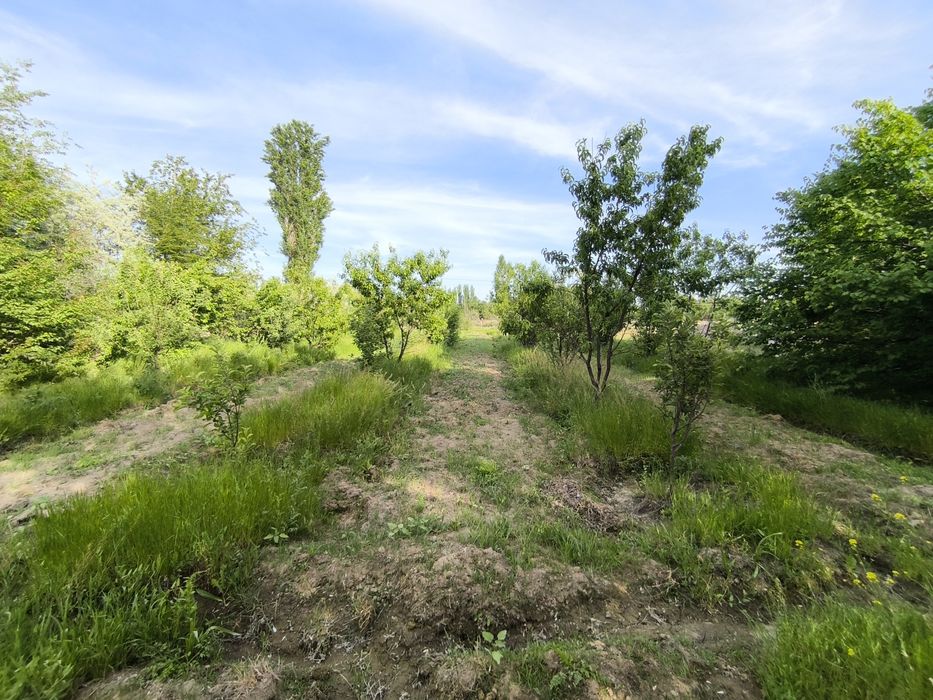 Продается участок 42соток