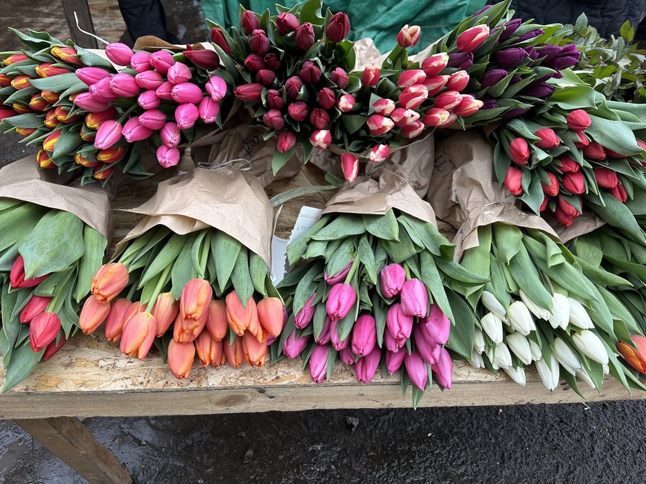 Тюльпаны оптом в Алматы