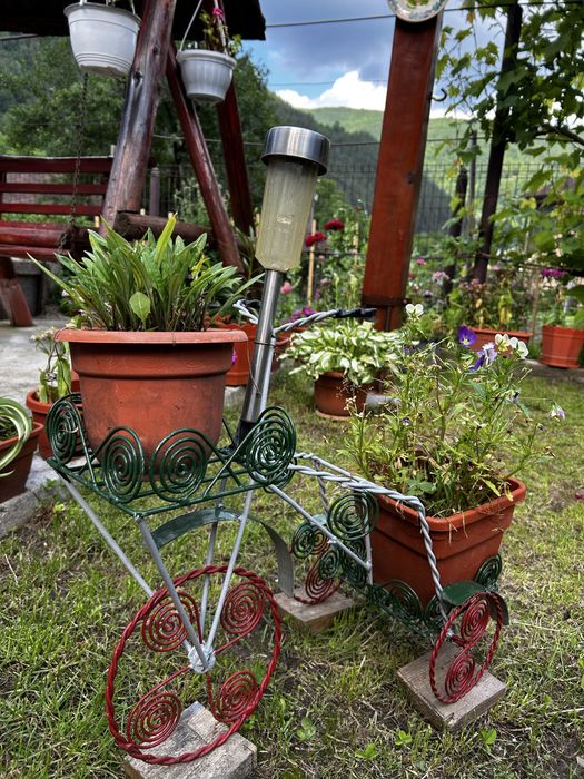 Tricicleta Florală