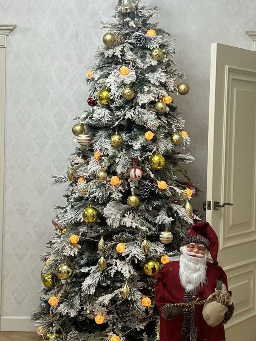 Ёлка на продажу 1