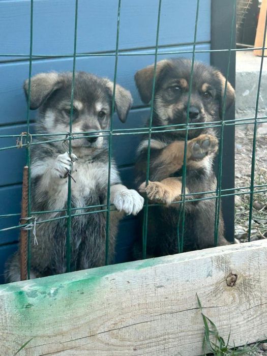 Мальчик и девочка