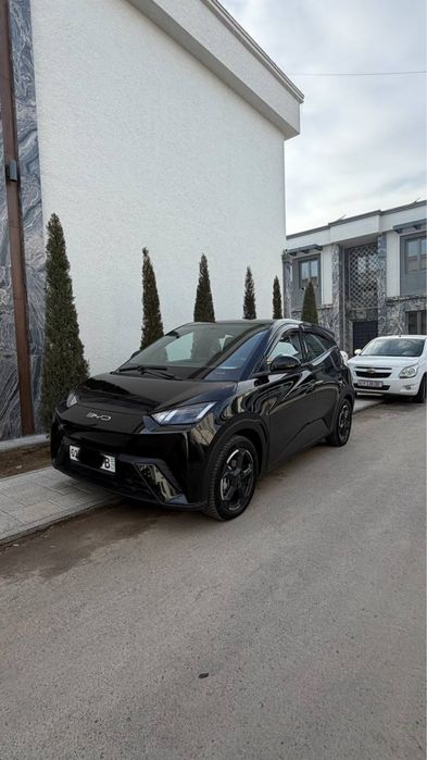 Seagull сотилади