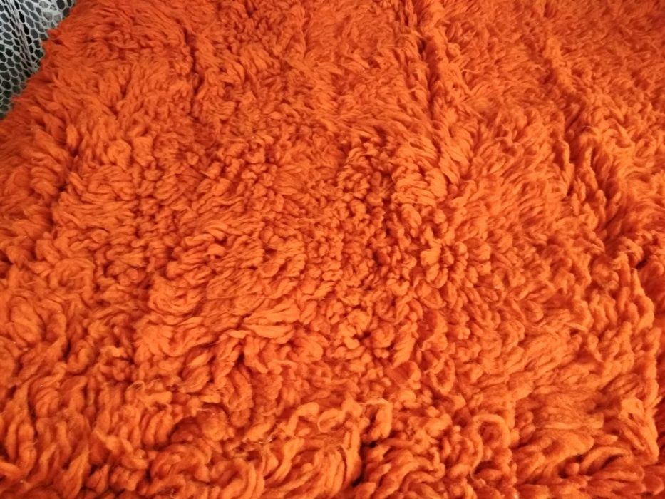 Прекрасен оранжев китеник/губер