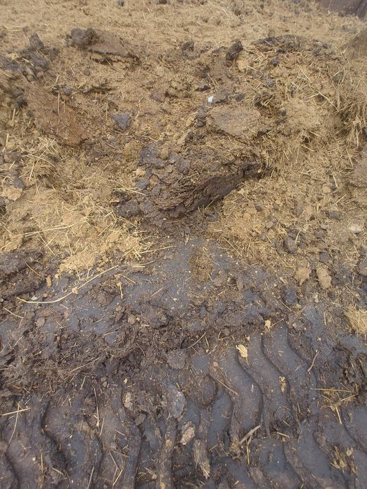 Продам навоз для удобрения