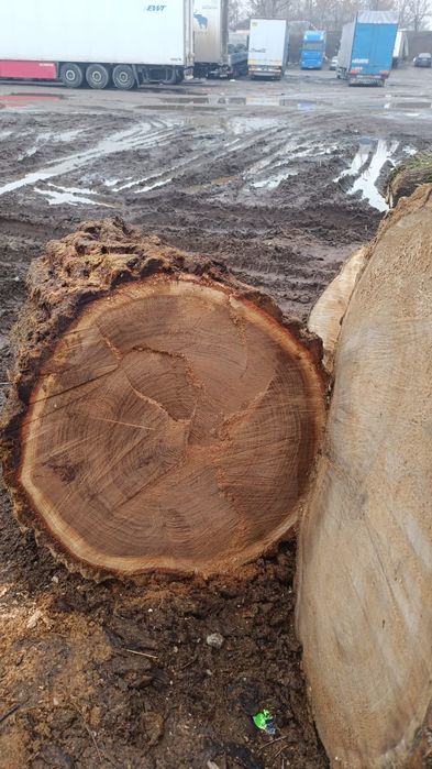 Пеньки для декора