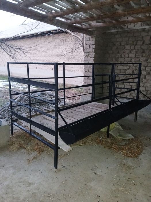 Qo'y qo'ra arzon sotiladi