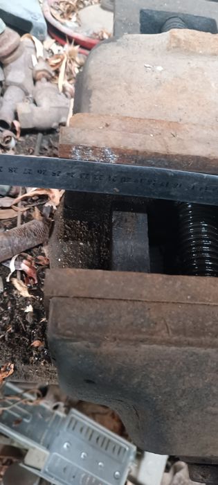 Тисы советские большие