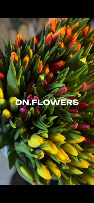 Тюльпаны 800тг до 6 марта!!!