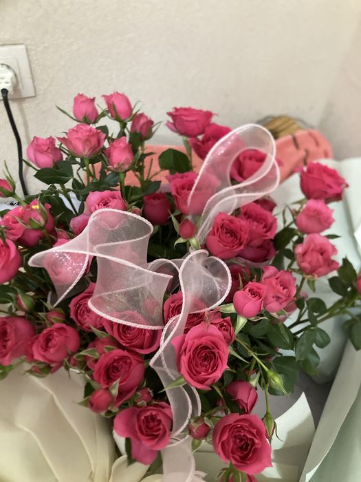 Продаю цветы свежие Север