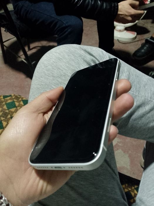 iPhone 11 Pro 17 Korpusda