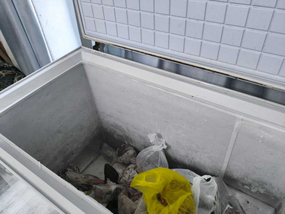 Продаю морозилку