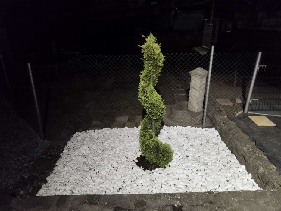 Извършване на озеленителни и почистващи услуги