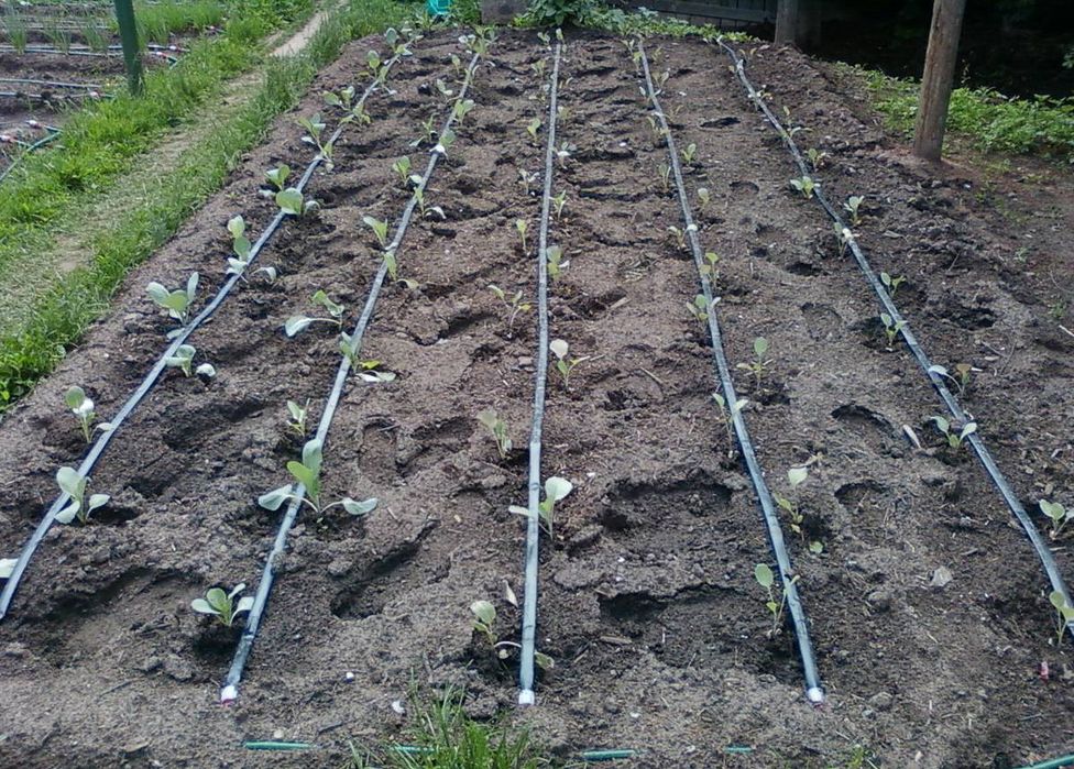 Томчилатиб сугориш ва газонлар учун монтажа