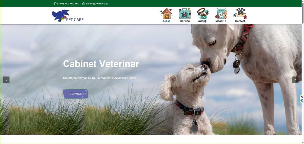 Ofertă dezvoltare website Pachet Website „Starter”
